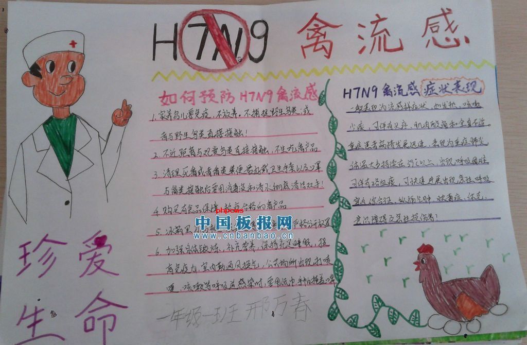 小学生H7N9手抄报大全