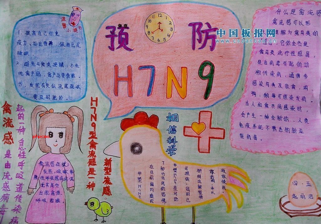 H7N9流感手抄报大全