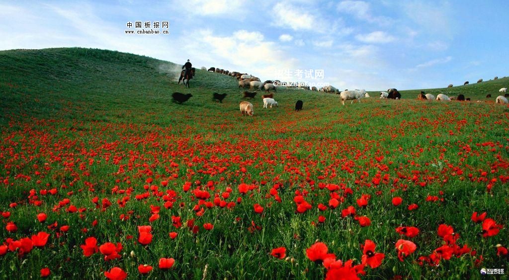 美丽的新疆图片大全_美丽新疆的风景图片
