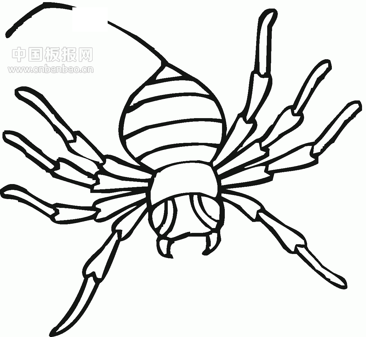 卡通蜘蛛网蜘蛛丝元素图片素材免费下载 - 觅知网