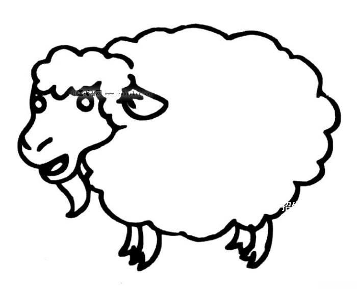 绵羊简笔画大图