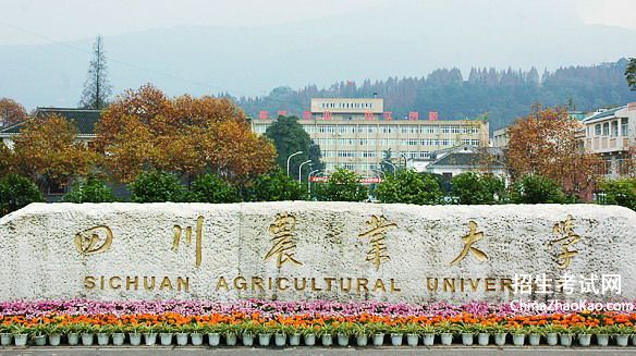 四川农业大学排名2015排行第134名