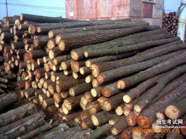 松木桩供货协议