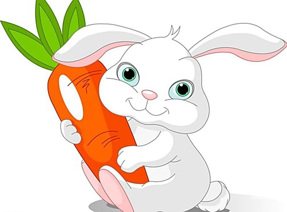 小白兔吃胡萝卜的样子