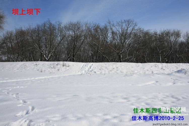 【雪景片段】