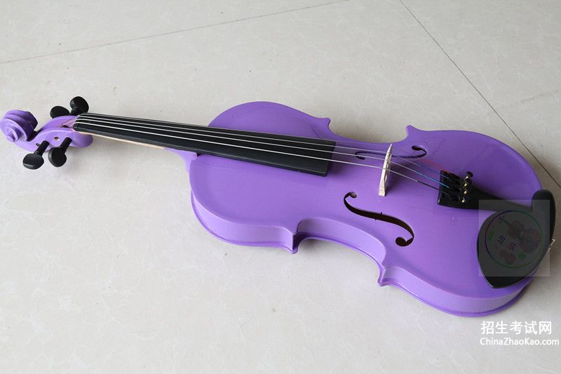 【小提琴多少价位的好】
