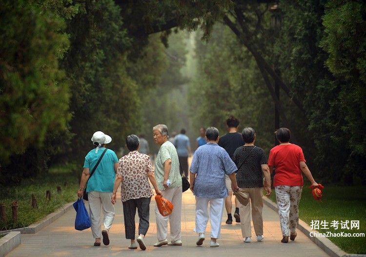 【中国老龄化人口2016】