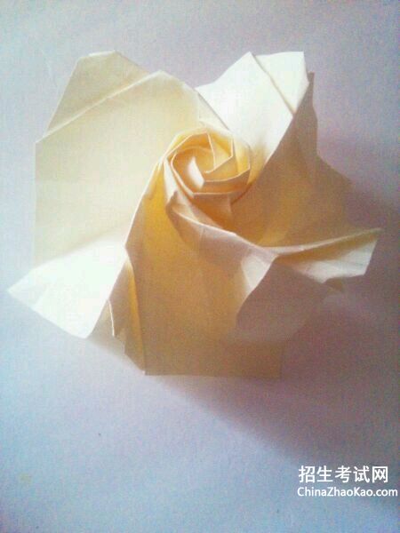 折纸玫瑰花步骤图解大全_改编的玫瑰花