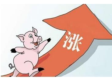 估计2020猪价会是多少？