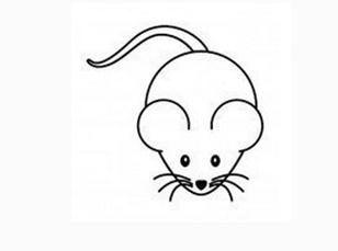 老鼠的简笔画图片