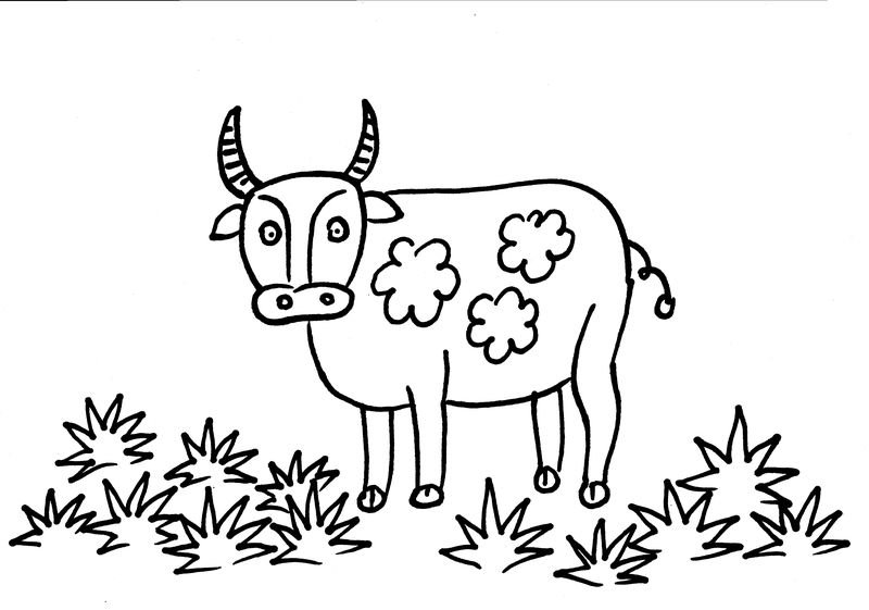 下面是小编为大家带来的牛的简笔画,喜欢就 收藏下来哦.