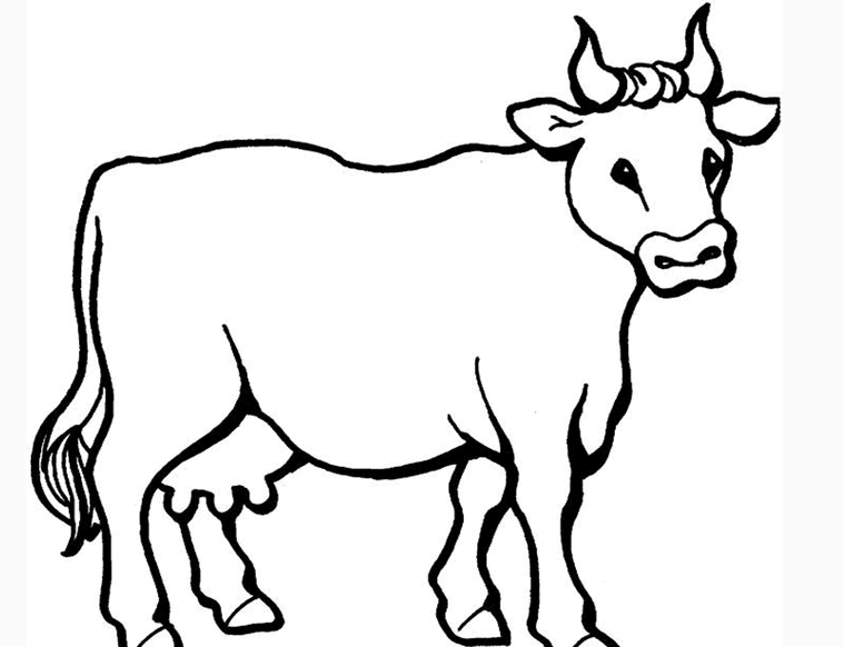 怎么画牛的 简笔画呢?下面是小编为大家带来的牛的简笔