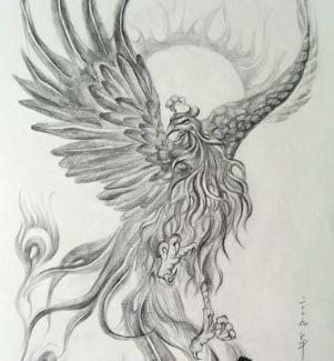 它是鸟中之王,有很多人喜欢用铅笔画的形式将凤凰的美丽身姿绘画下来